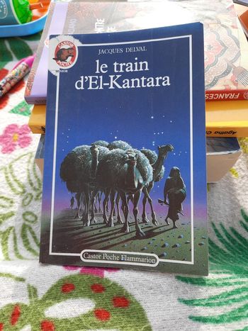 Le train d' El-Kantara