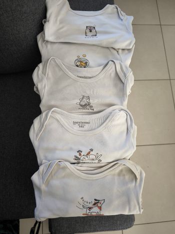 Lot de 5 bodys 
