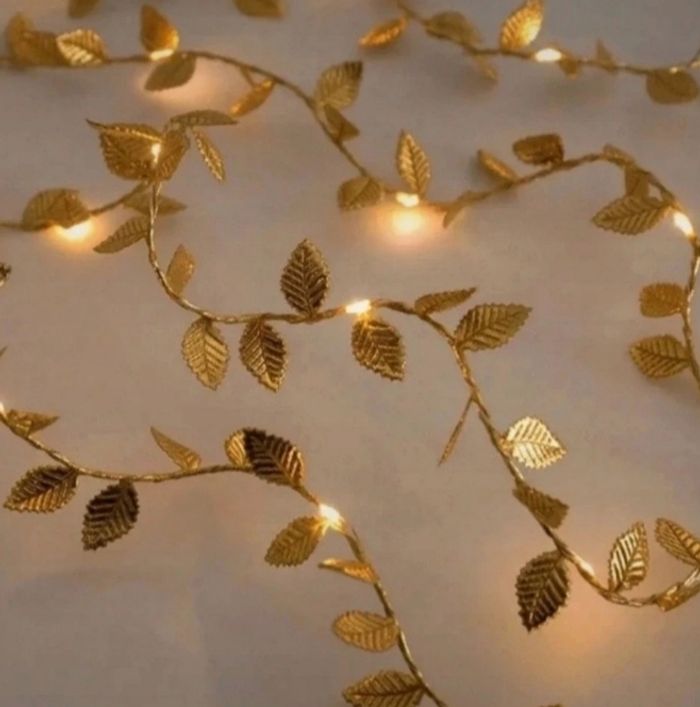 Guirlande lumineuse Noël 🤶