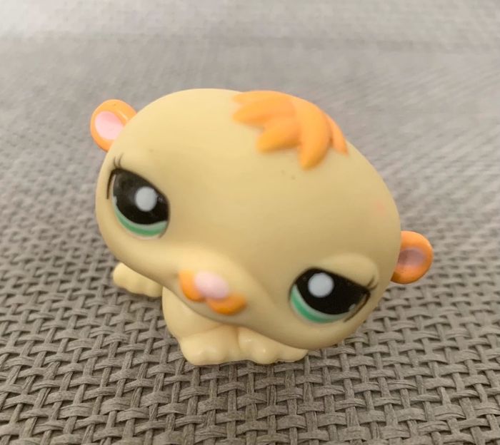 Petshop Cochon d’Inde - 2€ l’unité - photo numéro 8