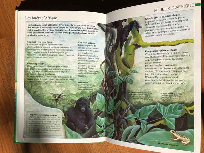 🎄 Méga nature - 9/13 ans 🎄 - photo numéro 7