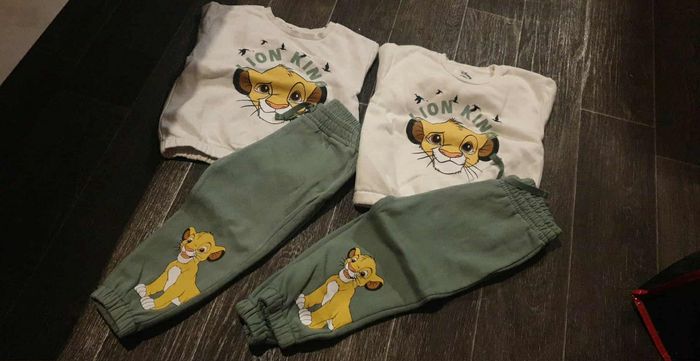 Lots 2 l ensemble simba