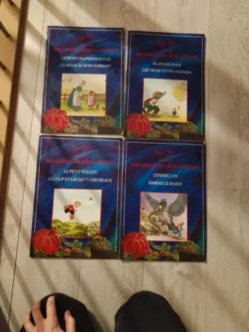 Lot de quatres très grand livre