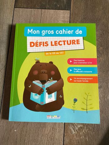 Livre Mon gris cahier de défis lecture Gs au CE1