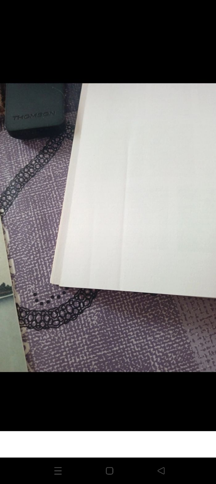 Les carnets de la cabane magique 8 - photo numéro 4