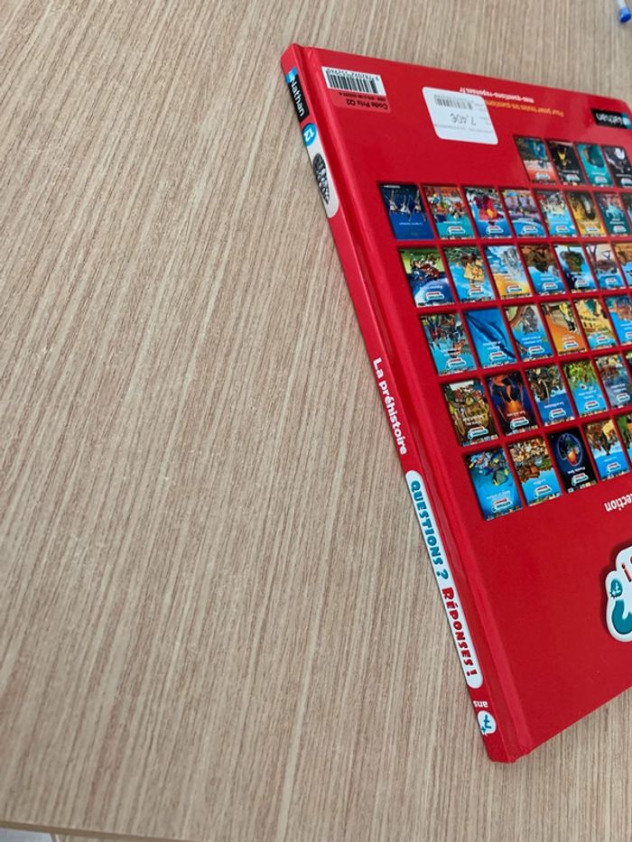 Livre questions réponses la préhistoire - photo numéro 4