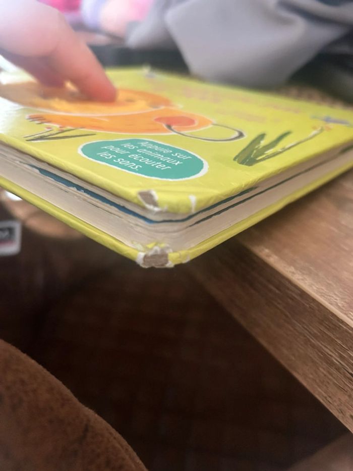 Livre à toucher ne chatouille pas le lion - photo numéro 3