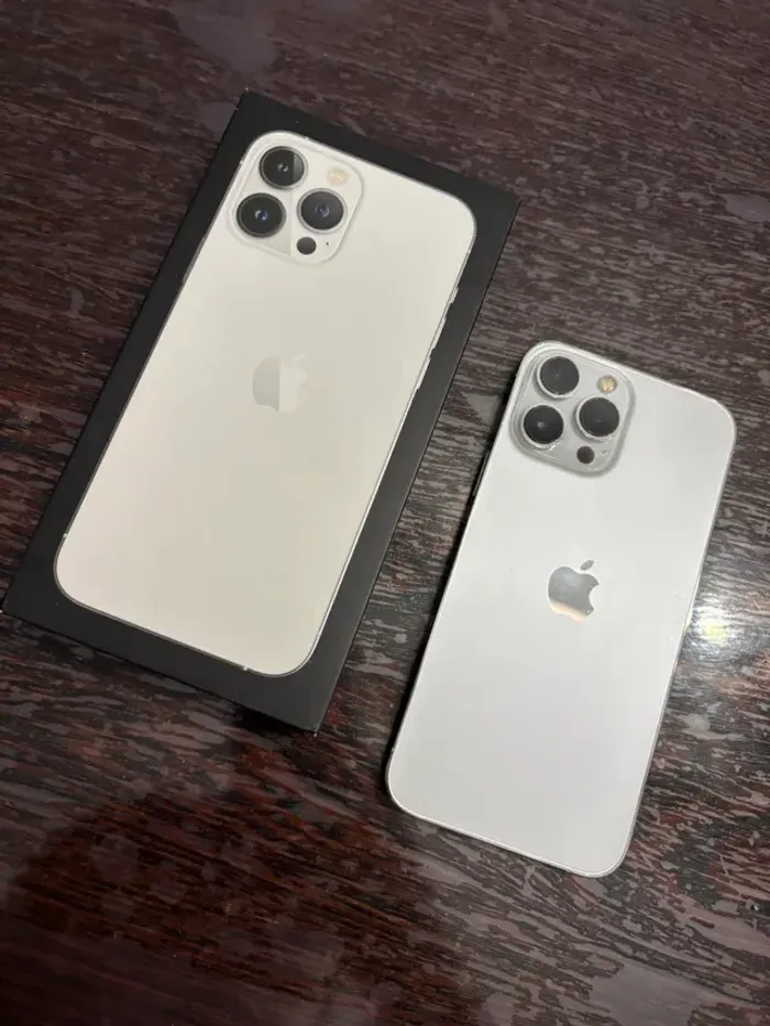 iPhone 13 Pro Max · 128 Go · Argent - photo numéro 7