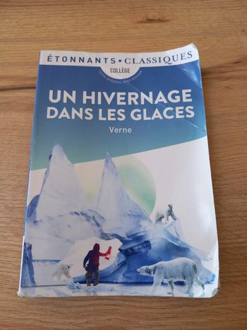 Roman Enfants Jules Verne - Un Hivernage dans les Glaces