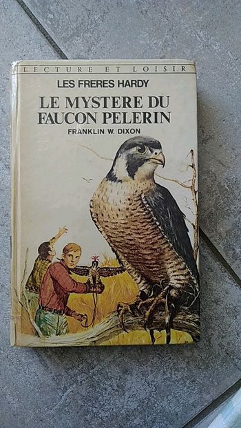 Livre Le mystère du faucon pèlerin