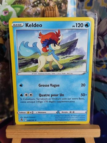 Keldeo rare 46/195 tempête argentée