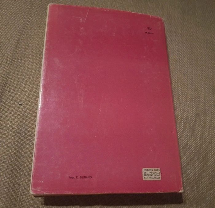 Cahier de Louis Adhémar Timothée le golif capitaine de la flibuste dit borgne fesse - photo numéro 2