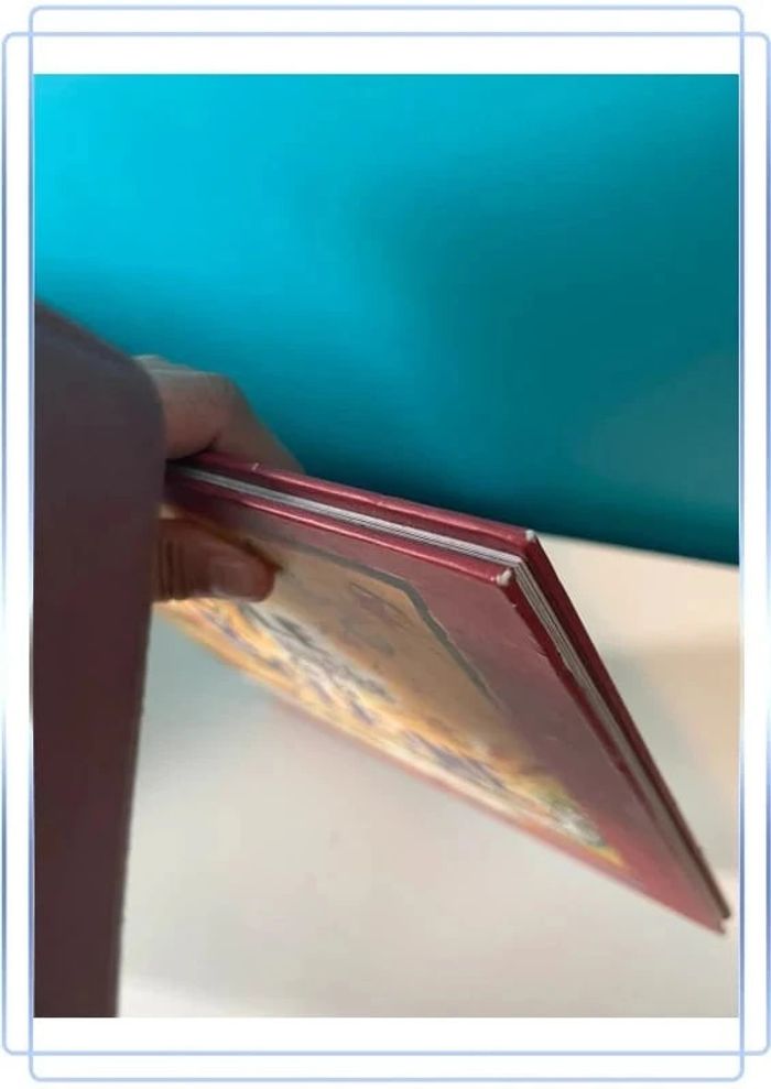 Livre le musée de la baleine au édition Albin Michel - photo numéro 3