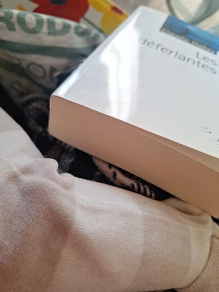 Livre la brune - photo numéro 4