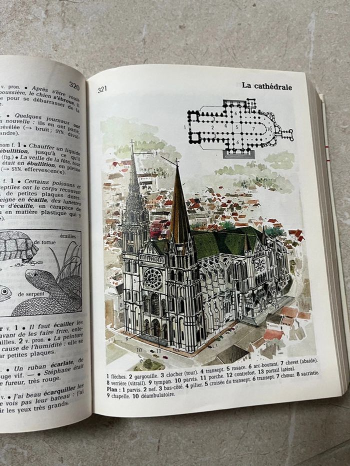 Dictionnaire junior collège Hachette illustré - photo numéro 3