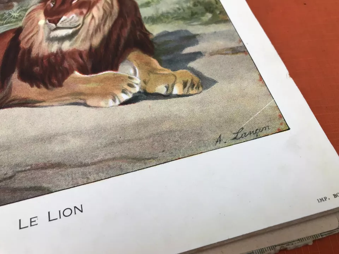 Les Animaux Sauvages et Domestiques (Mai 1929) Garnier Frères Paris - photo numéro 4