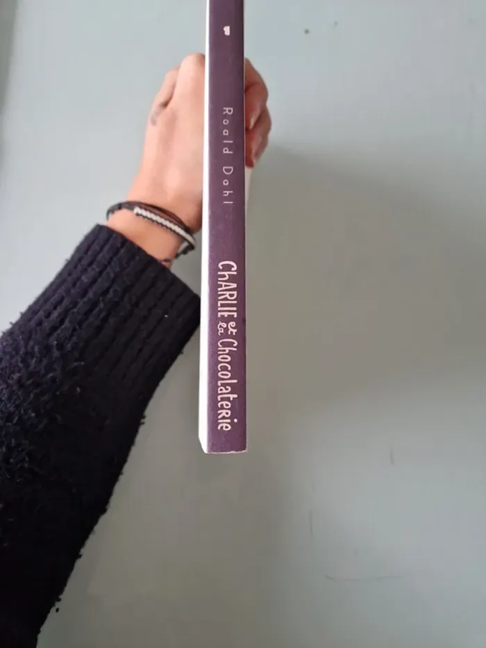 Livre - photo numéro 3