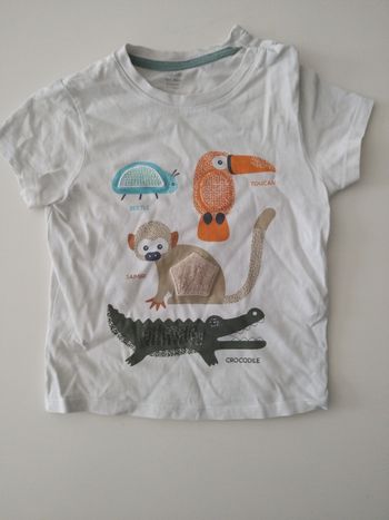 T shirt