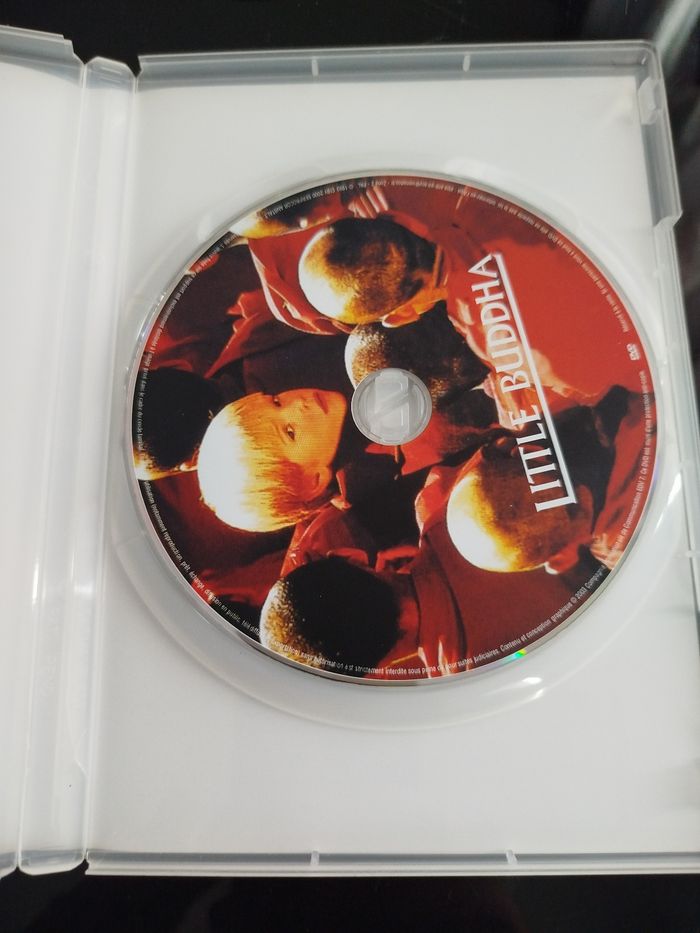 Little buddha - photo numéro 2