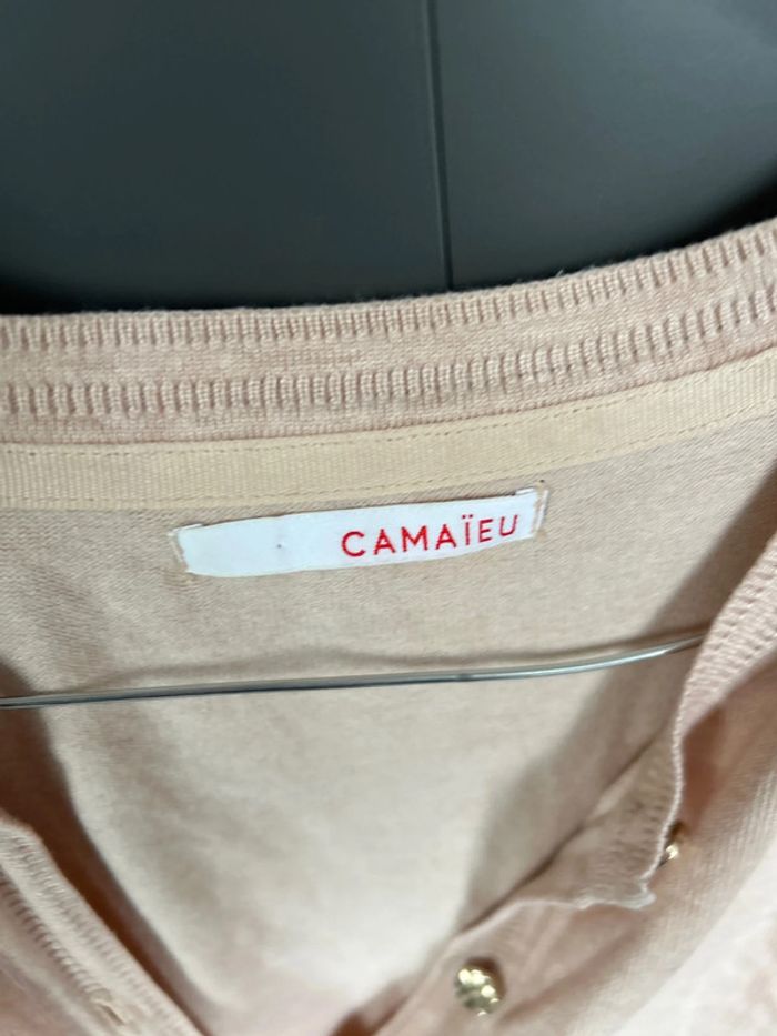 Gilet camaïeu - photo numéro 3