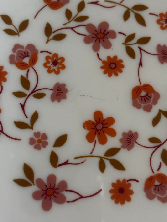 Vintage plat creux Arcopal Scania - photo numéro 4