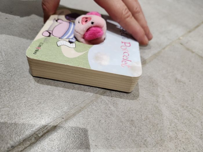 Livre enfant : Petit Porcelet - photo numéro 4