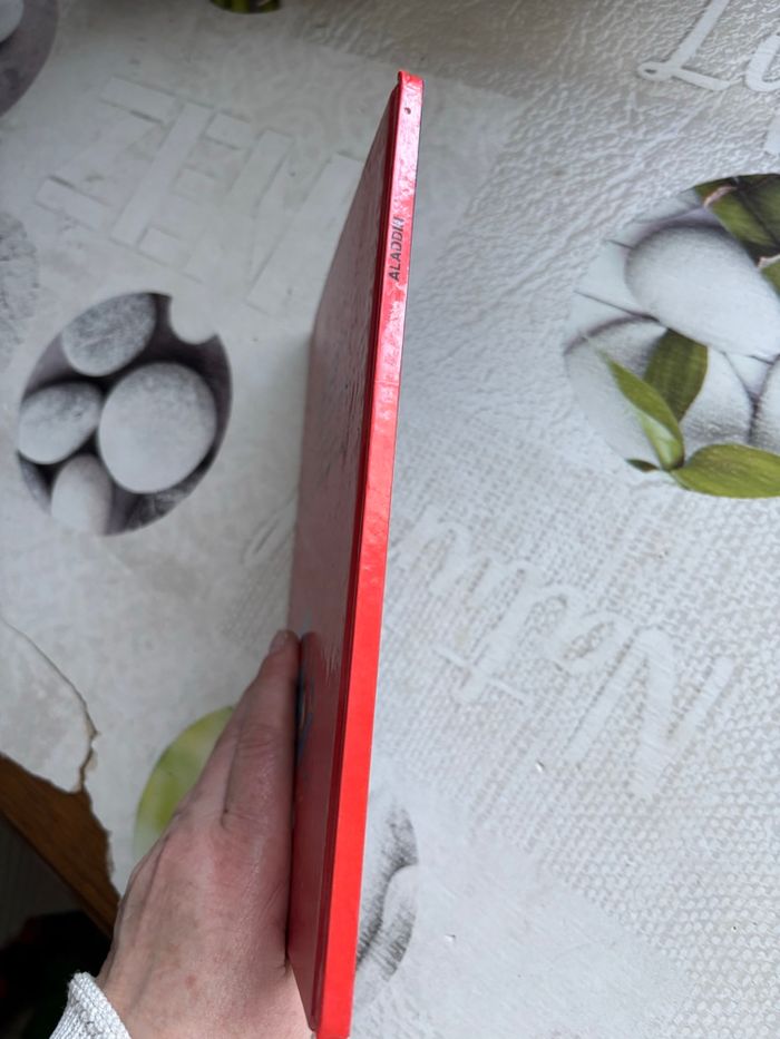 Livre Disney - photo numéro 6