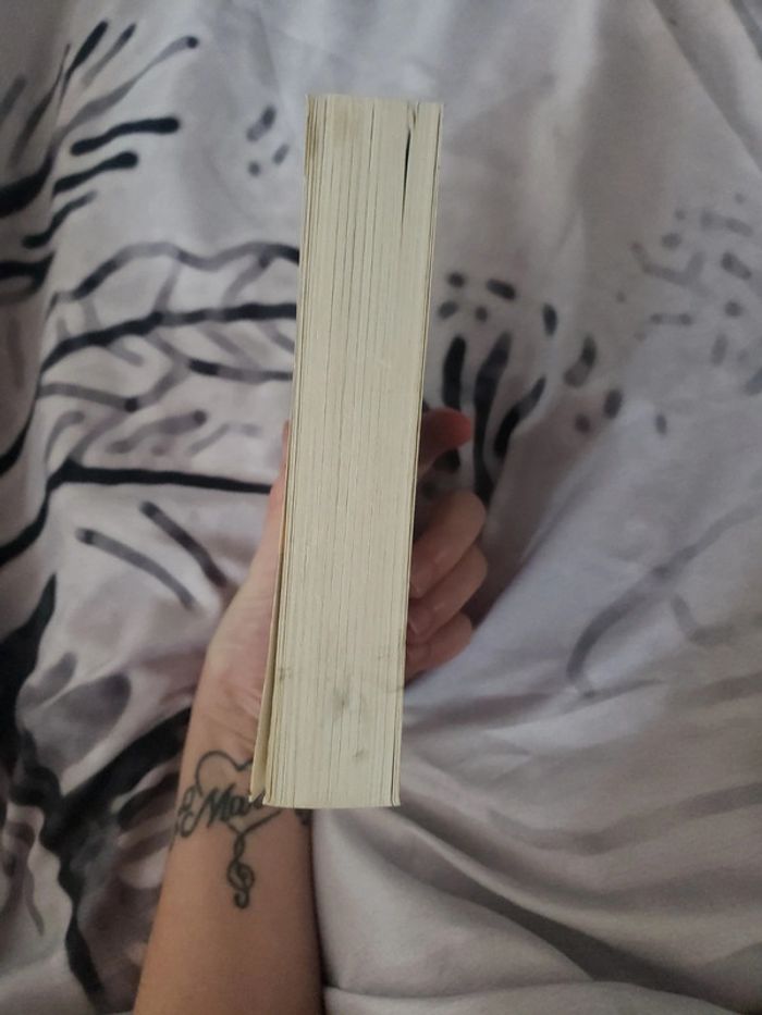 Livre Le peuple des Rennes - photo numéro 3