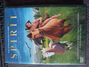 VD DVD Spirit l'etalon des plaines