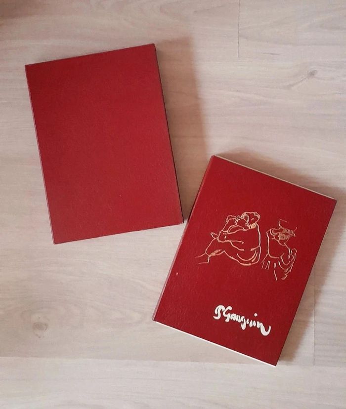 Paul Gauguin - Robert Goldwater - photo numéro 2