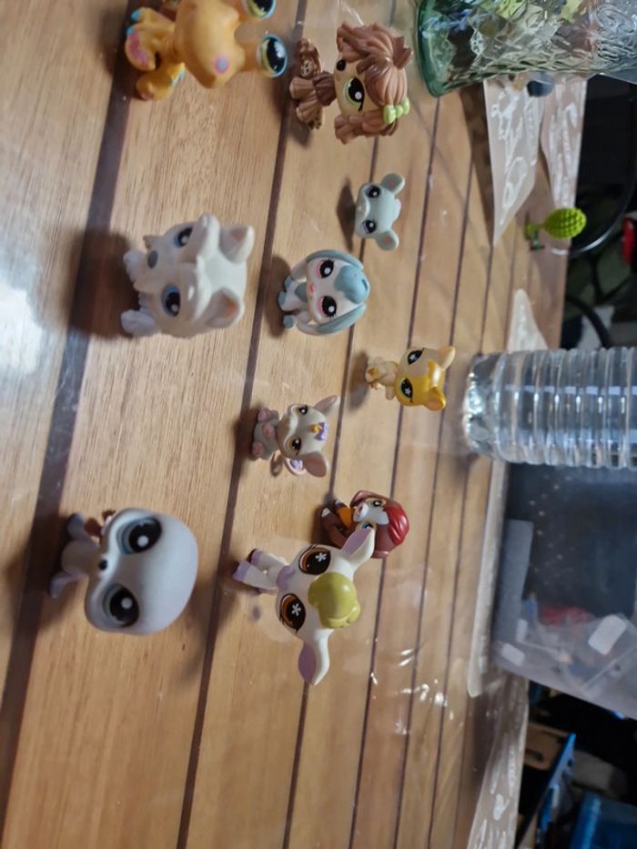Lot petshop (8) - photo numéro 7