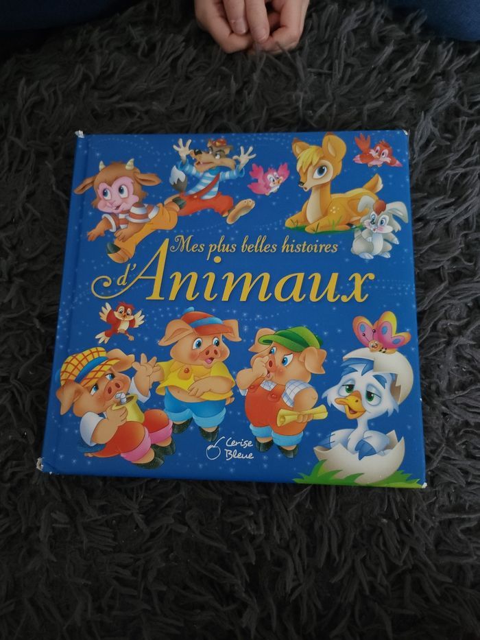 Livre d'histoire enfant