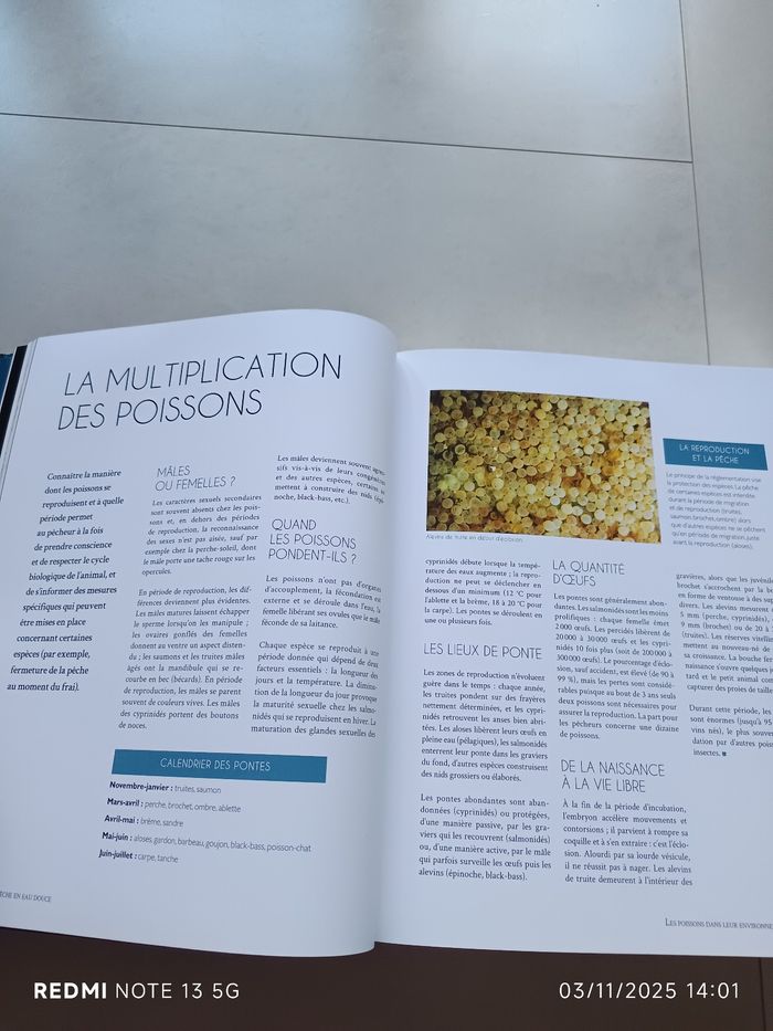 Livre pêche - photo numéro 3