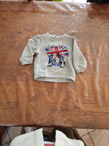 Pull chien orchestra 12 mois