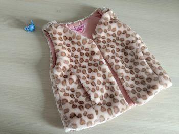gilet sans manche