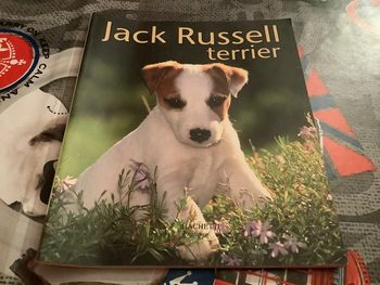 Livre jack Russell