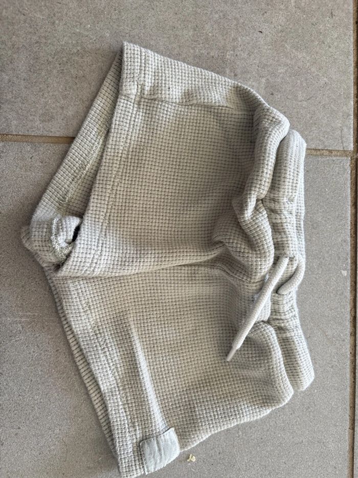 Short vert sauge