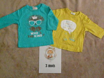 Lot de 2 tee-shirts garçon 3 mois