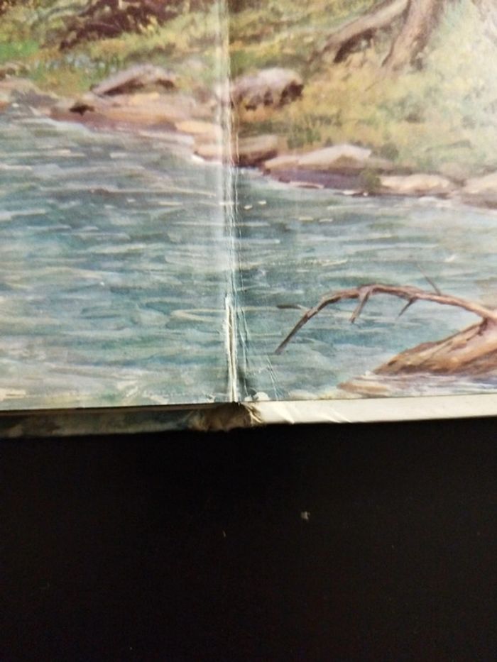 Rare Livre Davy Crockett - photo numéro 10