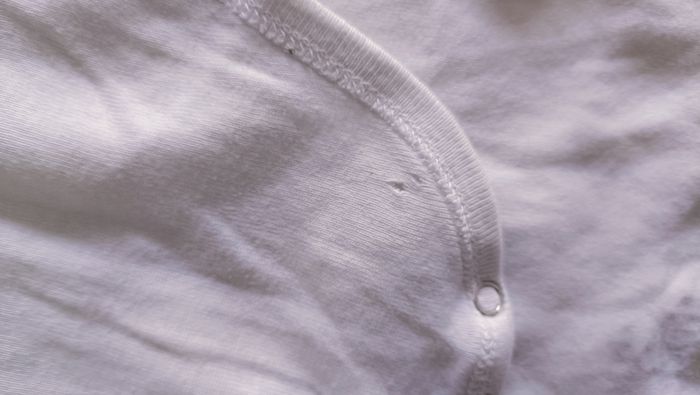 Lot bodies - photo numéro 4