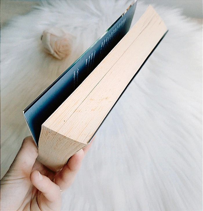 🦋 Livre La maison d'à côté 🦋 - photo numéro 8