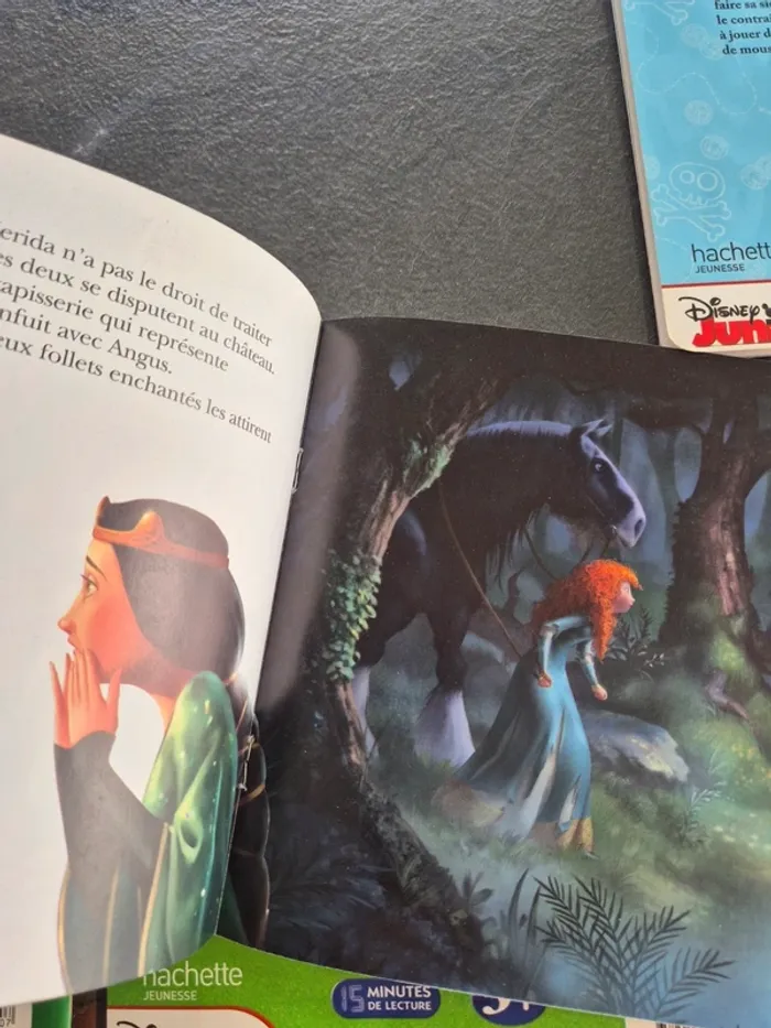 Lot de 5 Livres Disney - photo numéro 13