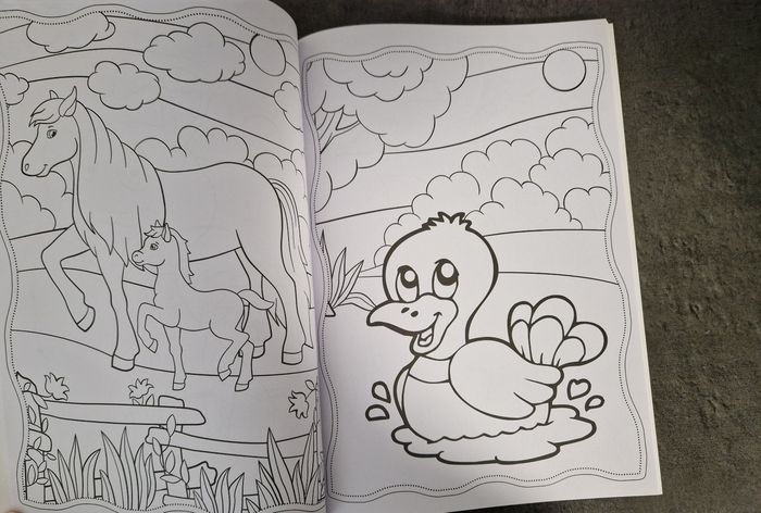 Livre de coloriage - photo numéro 2