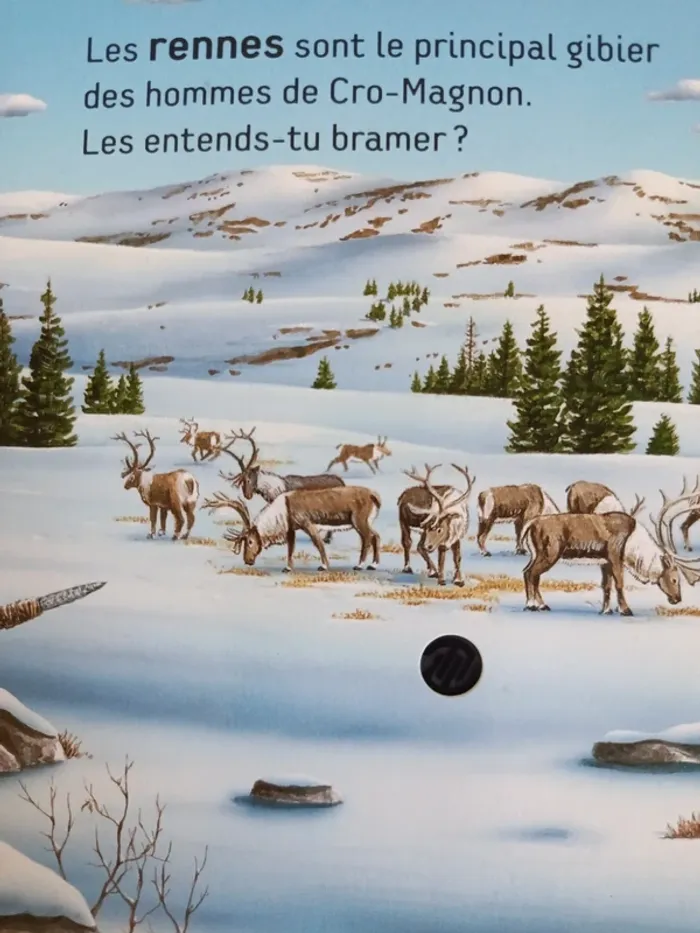 Livre sonore écoute les bruits de la préhistoire - photo numéro 7