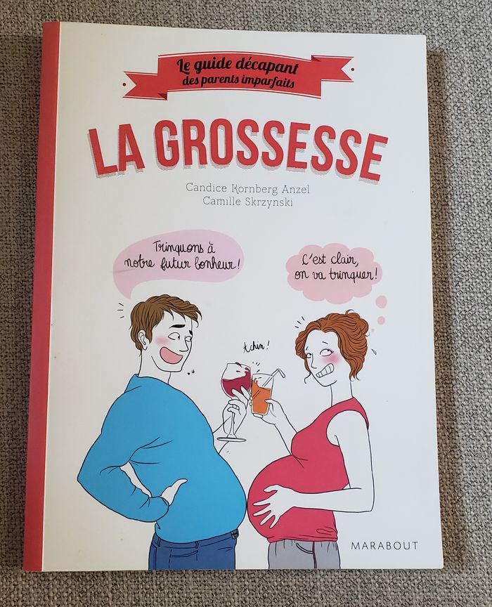 Livre humoristique grossesse