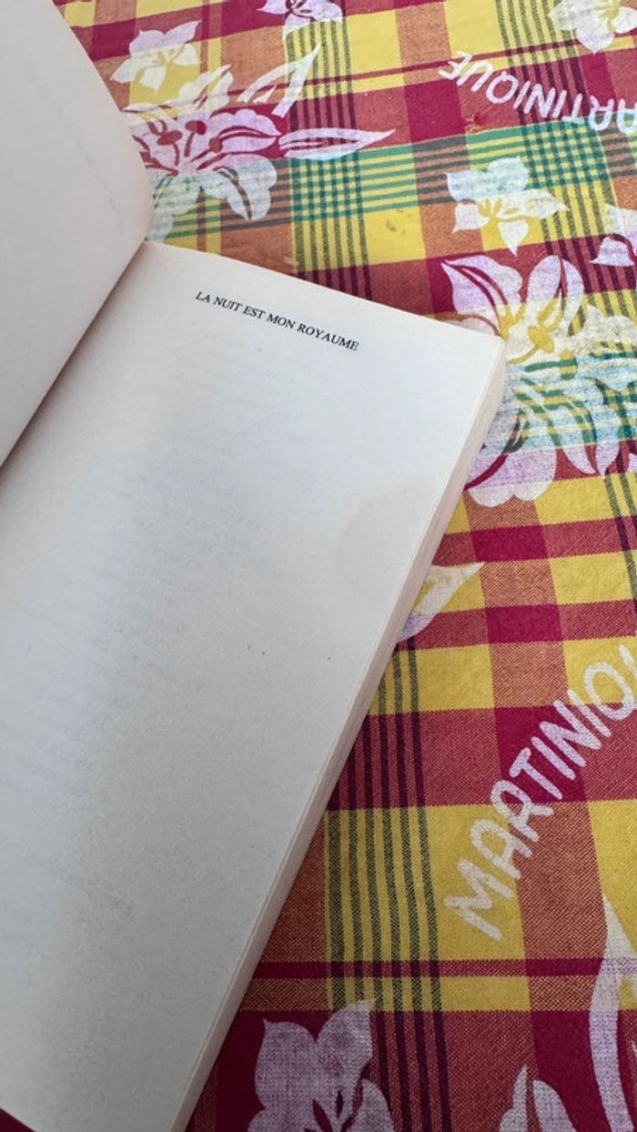 Suspense garanti - La nuit est mon royaume de Mary Higgins Clark - photo numéro 4