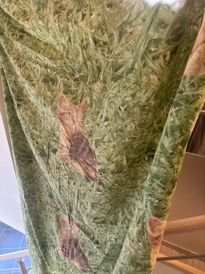 Lot drap plat + drap housse - photo numéro 2