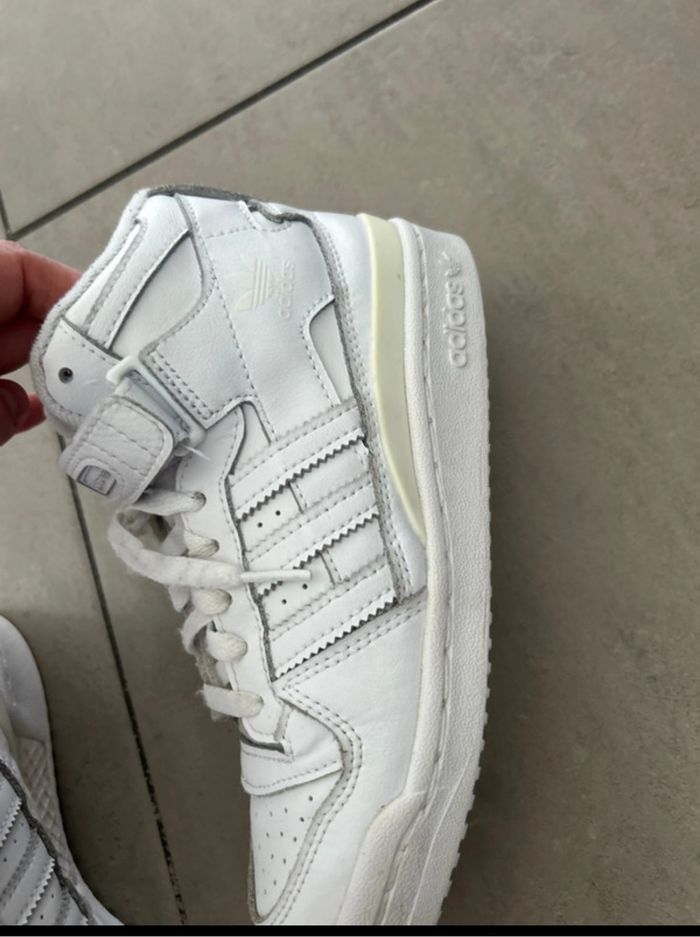 Basket forum Adidas - photo numéro 8