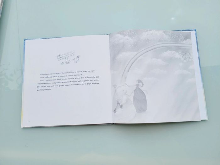 Beau livre 🌈 Les Fées d'été🧚 éditions Book on Demand 27 - photo numéro 7