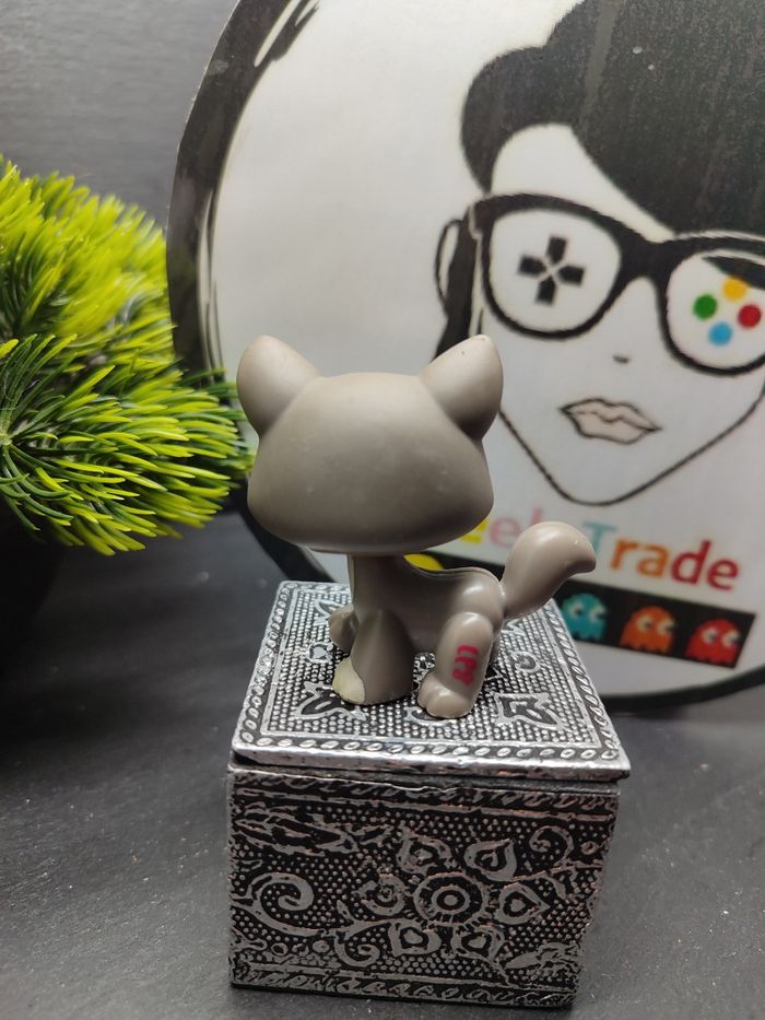 lps01213 My Littlest Petshop Pet Shop LPS Authentic Cat Main Coon 1059 Hasbro - photo numéro 2